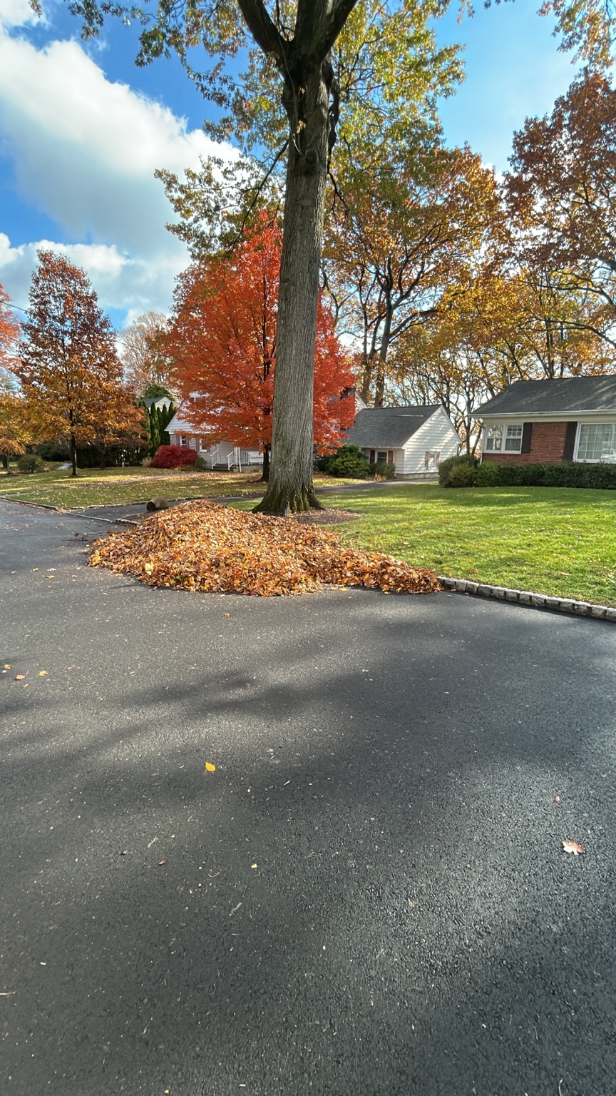 Leaves gathered for seasonal cleanup